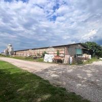 CAPANNONE A MOLINELLA