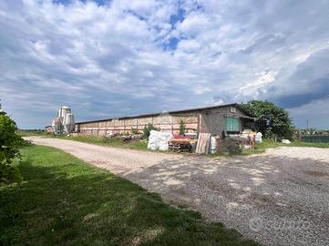 CAPANNONE A MOLINELLA