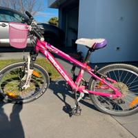 Mtb bulls 20