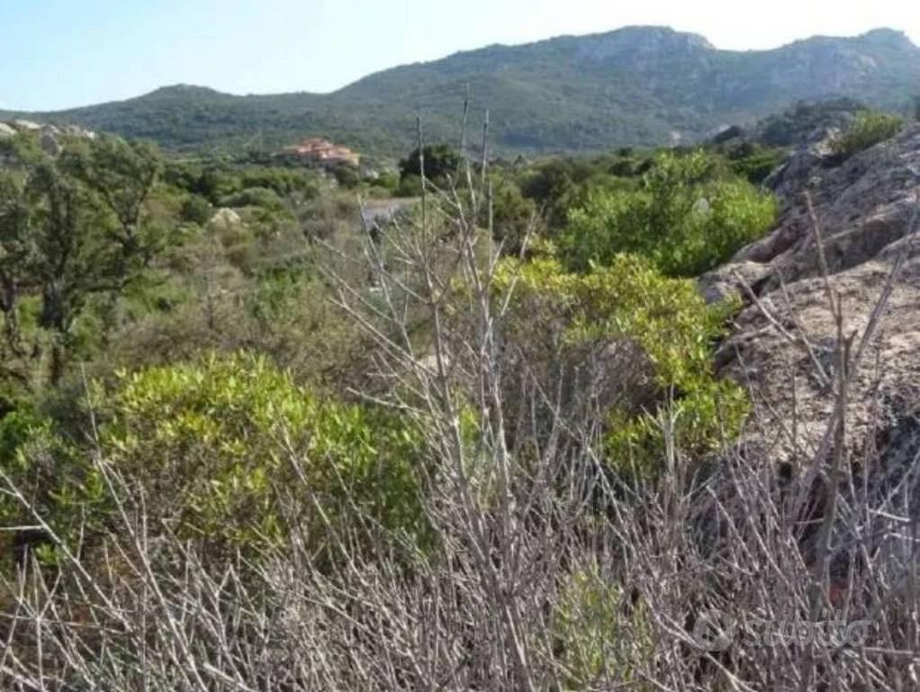 Immobile in asta di 5745 m² a Olbia - Vista 3