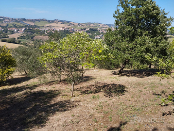 Terreno agricolo panoramico e alberato