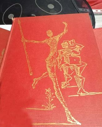 Don Chisciotte con disegni di Dalì