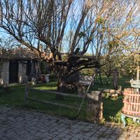 Casale completamente ristrutturato