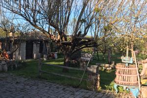 Casale completamente ristrutturato