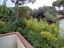 Immagine 11