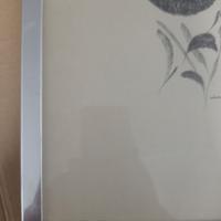 disegno di Roberto Crippa