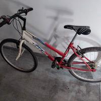 BICICLETTA MOUNTAIN BIKE 