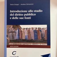 Manuale universitario di diritto pubblico