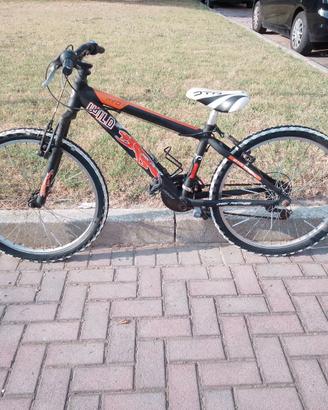 bici spiaggia