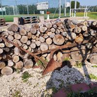 aratro antico mano tiro asino cavallo idea arredo