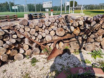 aratro antico mano tiro asino cavallo idea arredo