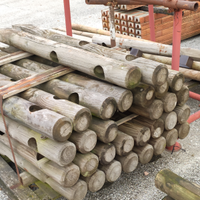 Pali legno con punta diam 120 con fori