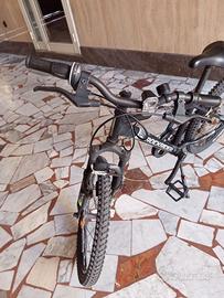 Bici 8/10anni