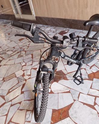 Bici 8/10anni