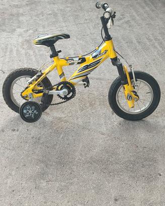 bicicletta 
