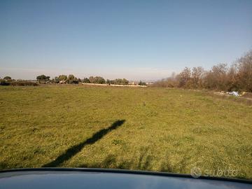 Terreno agricolo