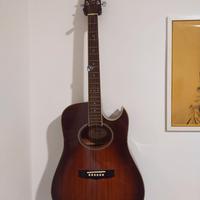 Chitarra acustica Vantage