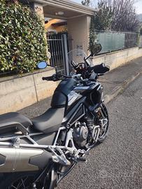 Triumph Tiger 1200 RALLY PRO