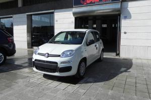 Fiat Panda 1.0 FireFly S&S Pandina Hybrid Icon