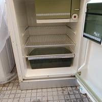 Frigo piccolo Rex