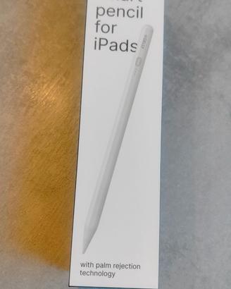 Pennino per ipad