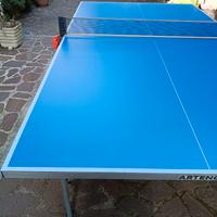 Tavolo da ping pong