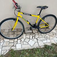 Bici mtb