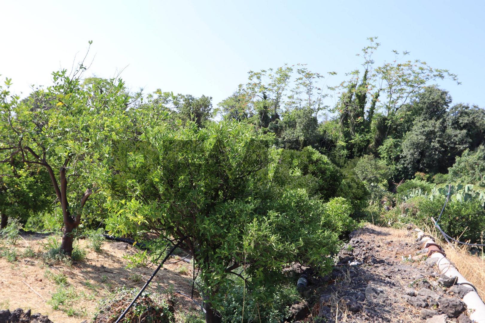 Terreno - Mascali - Vista 5