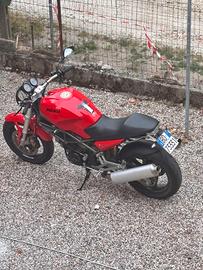 Ducati Monster 600