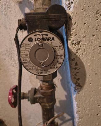pompa per circuito riscaldamento  Lowara