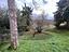 Immagine 30