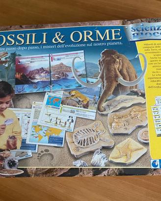 Gioco fossili e orme Clementoni
