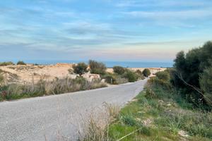 Terreno zona D cave Orosei