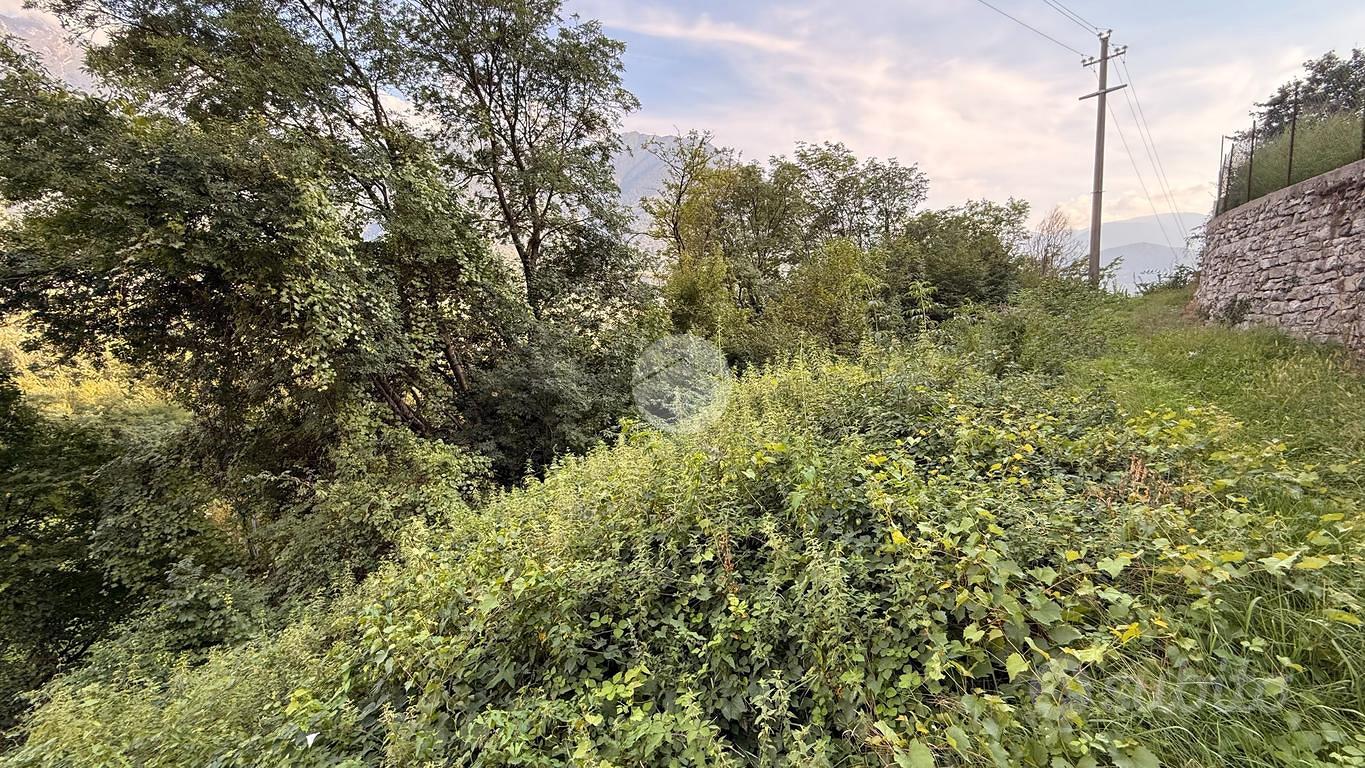 TER. RESIDENZIALE A LOSINE - Vista 5
