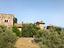 Immagine 28