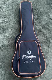 Chitarra con custodia