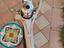 Immagine 6