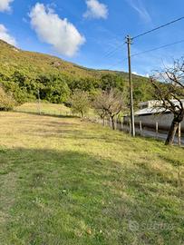 Terreno agricolo parzialmente edificabile