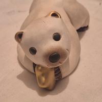 Thun,  Orso Polare