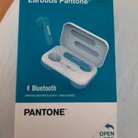 Bluetooth Earbuds Pantone
