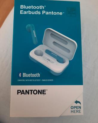 Bluetooth Earbuds Pantone