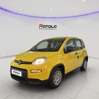FIAT Panda 3ª serie Panda 1.0 FireFly S&S Hybr...