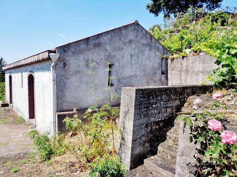 Rustico+2500mqTerreno accanto Villa FrancoBattiato - Vista 2