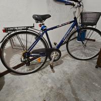 Bicicletta da Città City