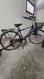 Bicicletta da Città City