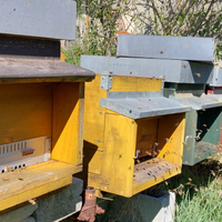 Famiglie e nuclei api