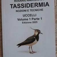 Imbalsamazione di una pavoncella