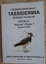 Imbalsamazione di una pavoncella