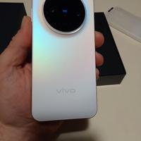 Vivo X300