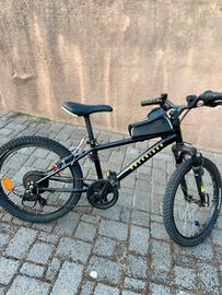 Bicicletta ragazzo 20 pollici